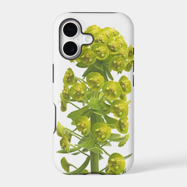 Euphorbia Iphone Case (Back)