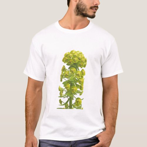 Euphorbia T_Shirt