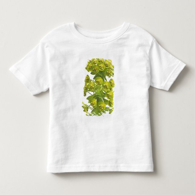 Euphorbia Toddler T-shirt (Front)
