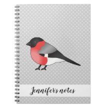 Eurasian Bullfinch Cute Cartoon Bird Illustration