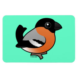 Male Bullfinch 4