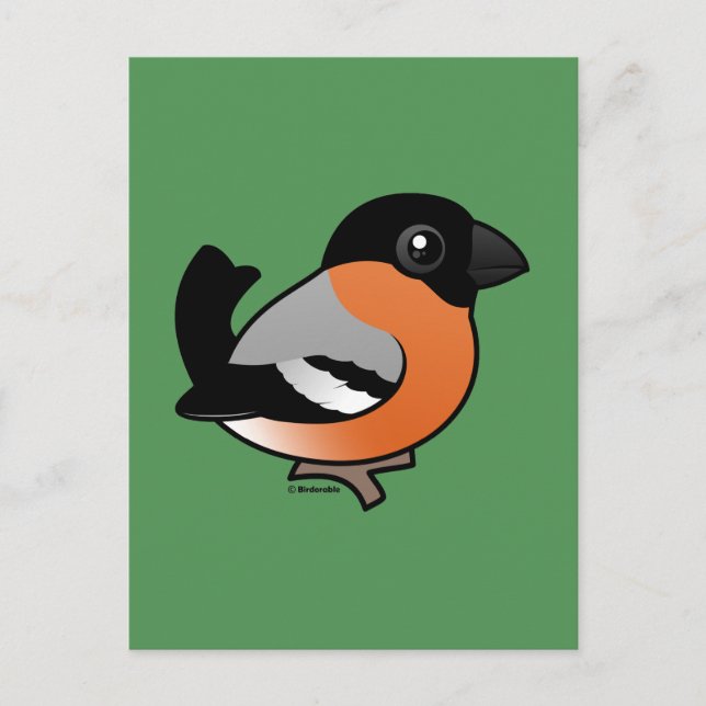 Eurasian Bullfinch Postcard (Front)