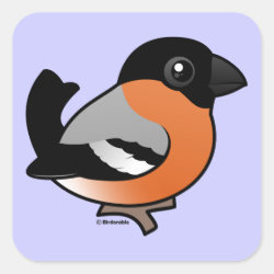Male Bullfinch Square Sticker