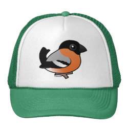 Male Bullfinch Trucker Hat