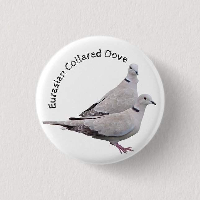 Eurasian Collared Dove Button (Front)