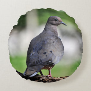 Eurasian collared dove or turtle dove round pillow