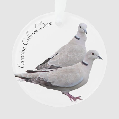 Eurasian Collared Dove Ornament