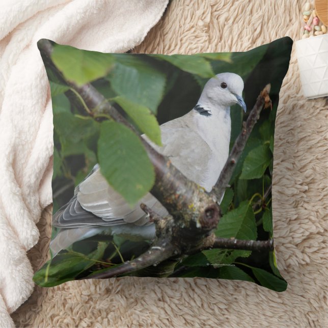 Eurasian Collared Dove Songbird on Cherry Tree Throw Pillow (Blanket)