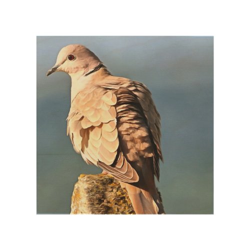 Eurasian Collared Dove Wildlife Art