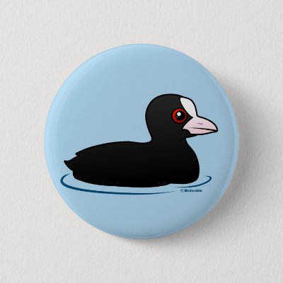 Eurasian Coot Button