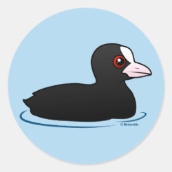 Eurasian Coot Round Sticker