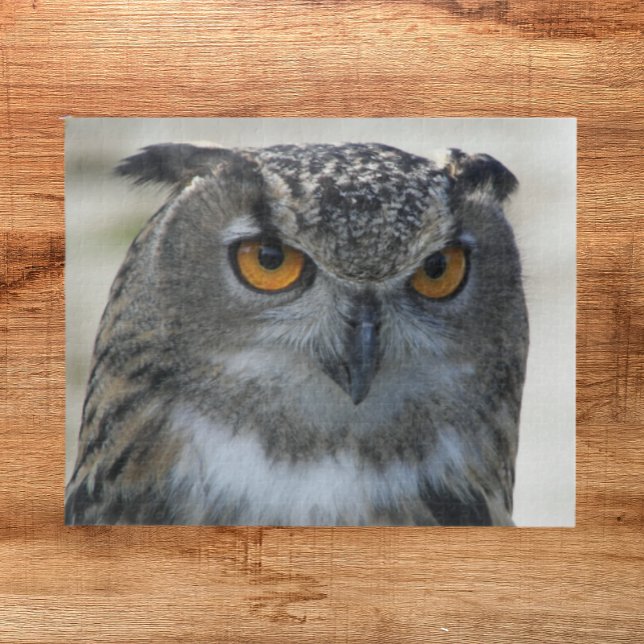 Eurasian Eagle Owl Animal Jigsaw Puzzle (Creator Uploaded)