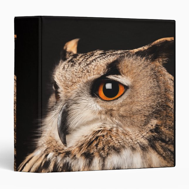 Eurasian Eagle Owl Binder (Front/Spine)