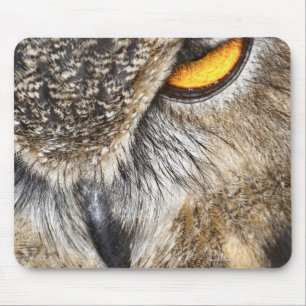 Eurasian Eagle Owl (Bubo bubo) Mouse Pad