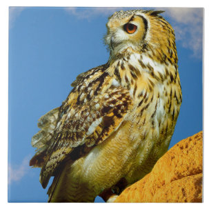 Eurasian eagle owl ceramic tile