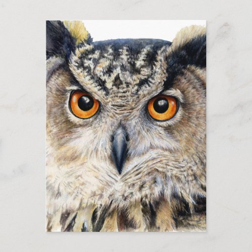 Eurasian Eagle Owl fine art watercolor postcard