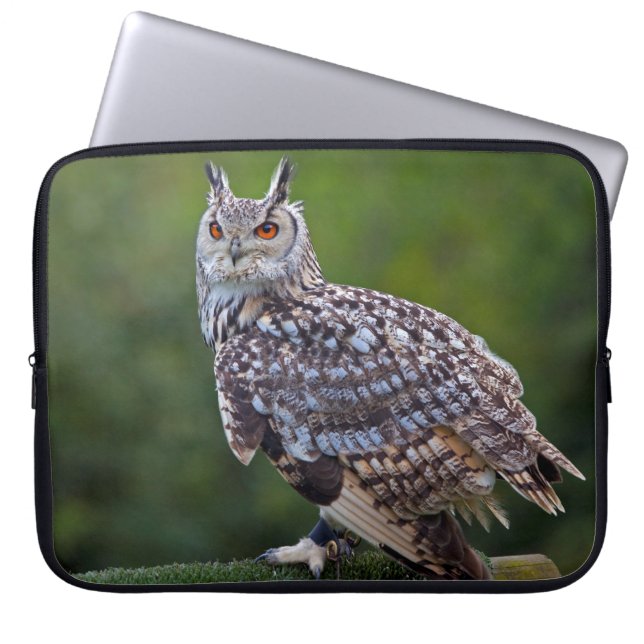 Eurasian Eagle Owl Laptop Sleeve (Front)