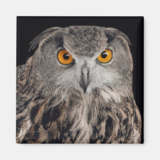 Eurasian Eagle Owl Magnet