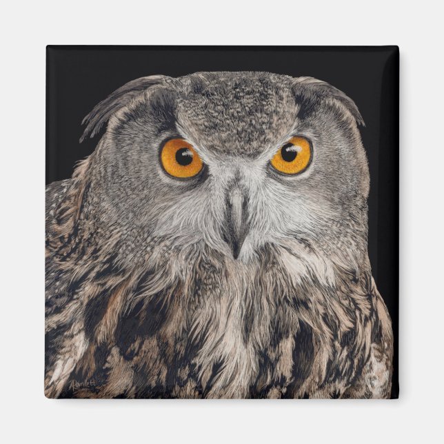 Eurasian Eagle Owl Magnet (Front)