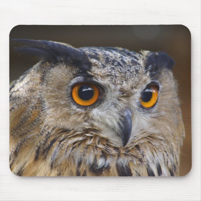 Eurasian Eagle Owl Mouse Pad (Front)