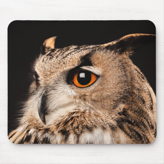 Eurasian Eagle Owl Mouse Pad (Front)