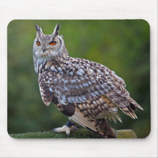 Eurasian Eagle Owl Mousemat Mouse Pad