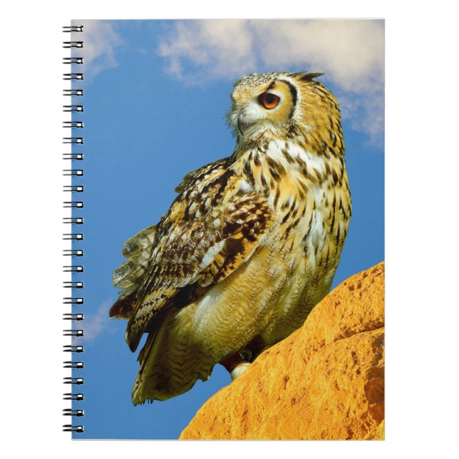 Eurasian eagle owl notebook (Front)