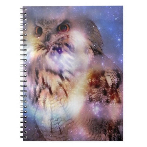 Eurasian Eagle_Owl Notebook