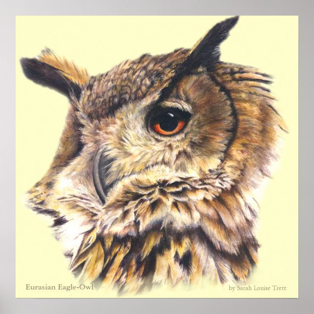 Eurasian Eagle Owl Ornithological fine art poster (Front)