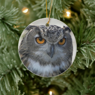 Eurasian Eagle Owl Photo Ceramic Ornament