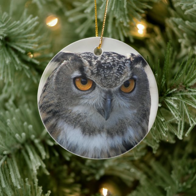 Eurasian Eagle Owl Photo Ceramic Ornament (Tree)