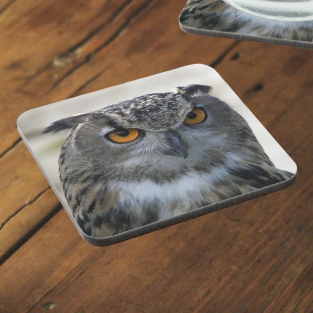 Eurasian Eagle Owl Photo Drink Coaster (In Situ Angled)