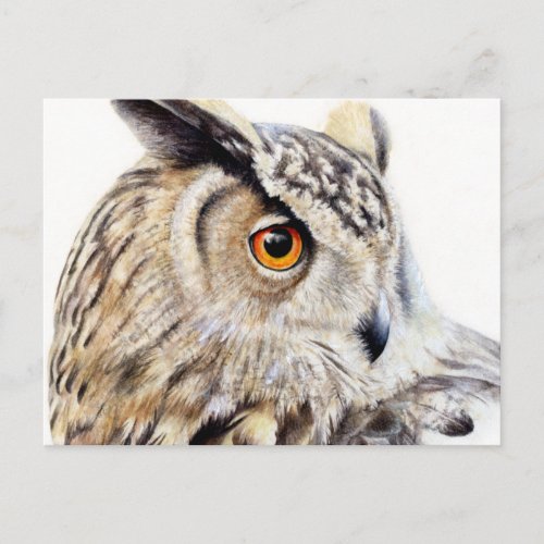 Eurasian Eagle Owl side art watercolor postcard