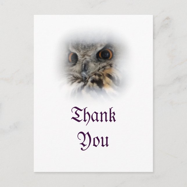 Eurasian Eagle-owl Thank You Postcard (Front)