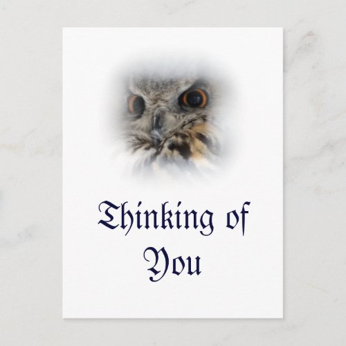 Eurasian Eagle_owl Thinking of You Postcard
