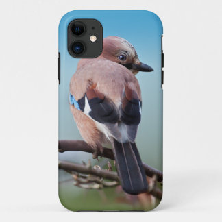 Eurasian Jay iPhone 5 Case