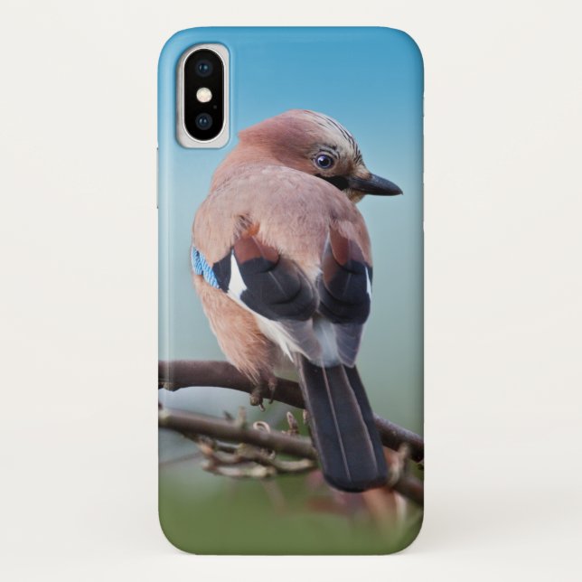 Eurasian Jay iPhone X Case (Back)