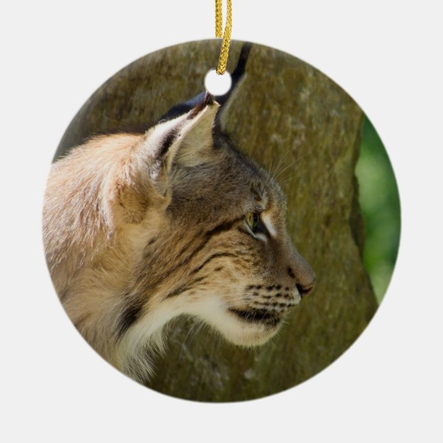 Eurasian Lynx Ceramic Ornament (Front)