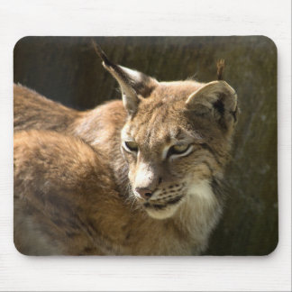Eurasian Lynx Mouse Pad