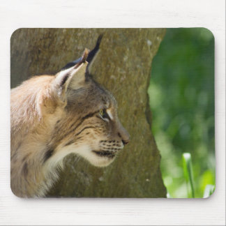 Eurasian Lynx Mouse Pad