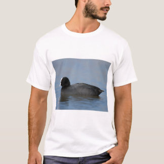 Eurasian or common coot, fulicula atra, portrait o T-Shirt