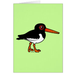 Eurasian Oystercatcher Greeting Card