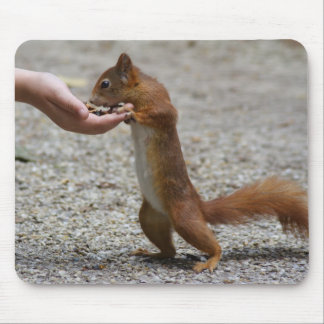 Eurasian red squirrel mouse pad