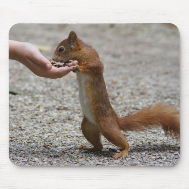 Eurasian red squirrel mouse pad (Front)