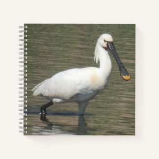 Eurasian Spoonbill Close Up Notebook