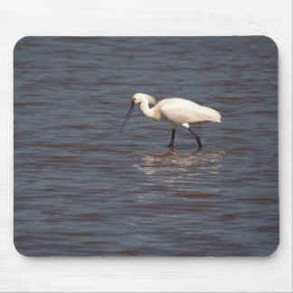 Eurasian Spoonbill Mouse Pad
