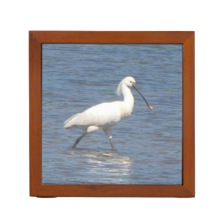 Eurasian Spoonbill Walking in Lake Desk Organizer