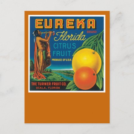 Eureka Florida Citrus Fruit Postcard