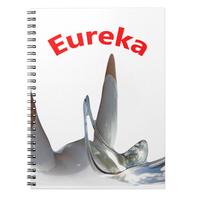 Eureka Notebook (Front)