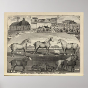 Eureka Stock Farm, Scottsville, Kansas Poster